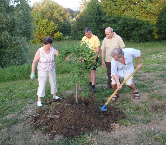 Zasaditev spominskih dreves