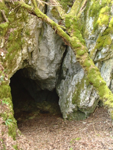 Petošolci in njihov Pogled na kras