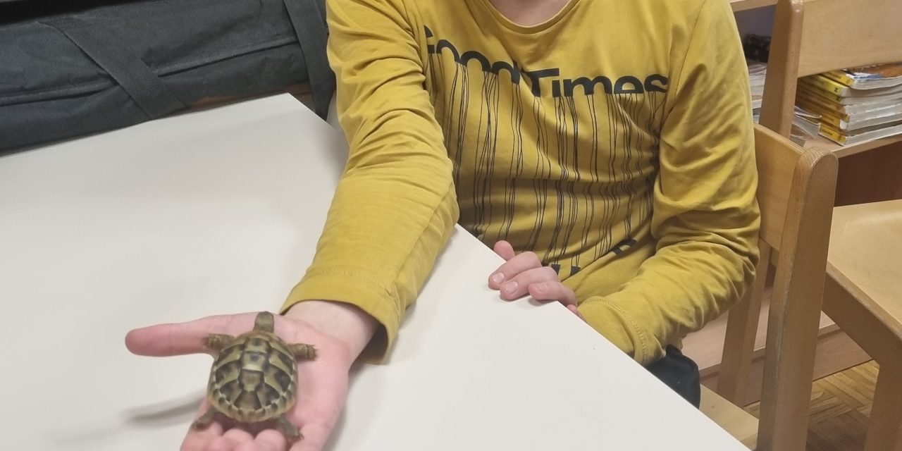Delavnica eksotične živali z društvom Bioexo