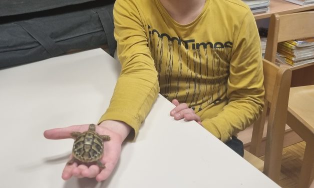 Delavnica eksotične živali z društvom Bioexo