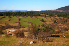 Obisk ekomuzeja Pivških presihajočih jezer in Palš...